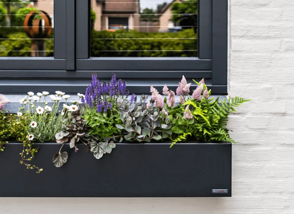 Balkonbak of plantenbak: Esthetische perfectie op jouw balkon!